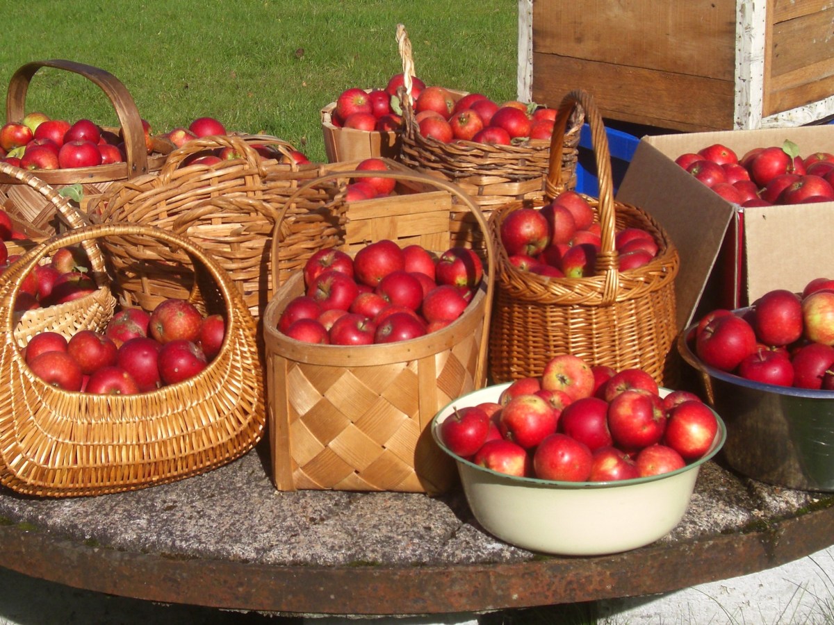 Tre fruar i&nbsp;Småland