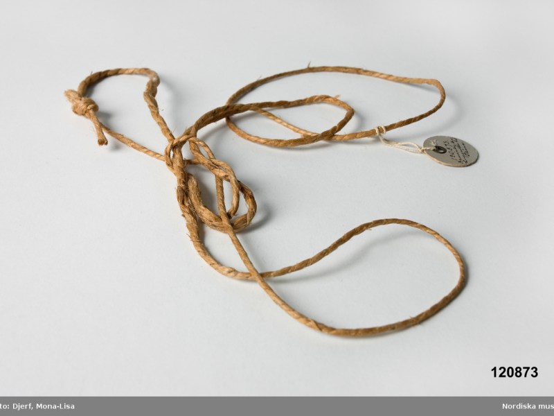 Carl von Linné på besök i Jönköping, del&nbsp;I