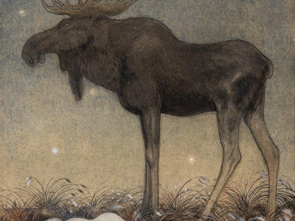 Prinsessans väktare