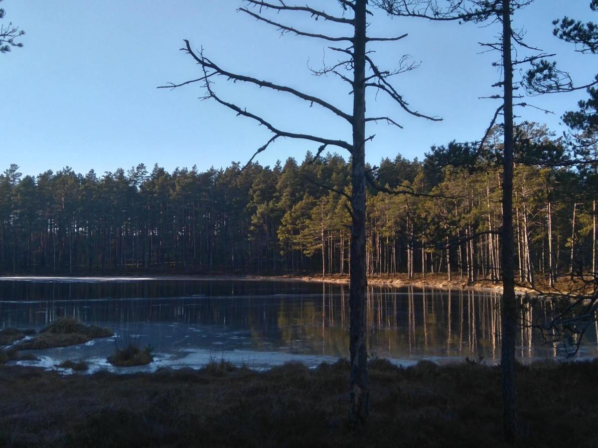 Mordet i Englandsmosse