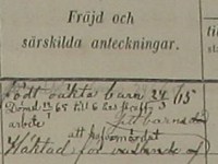 ”Födt oäkta barn. Häktad för hafva&nbsp;mördat”