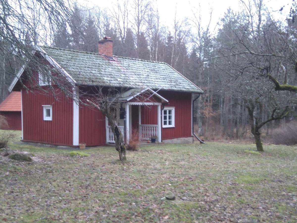 Den motvillige brudgummen