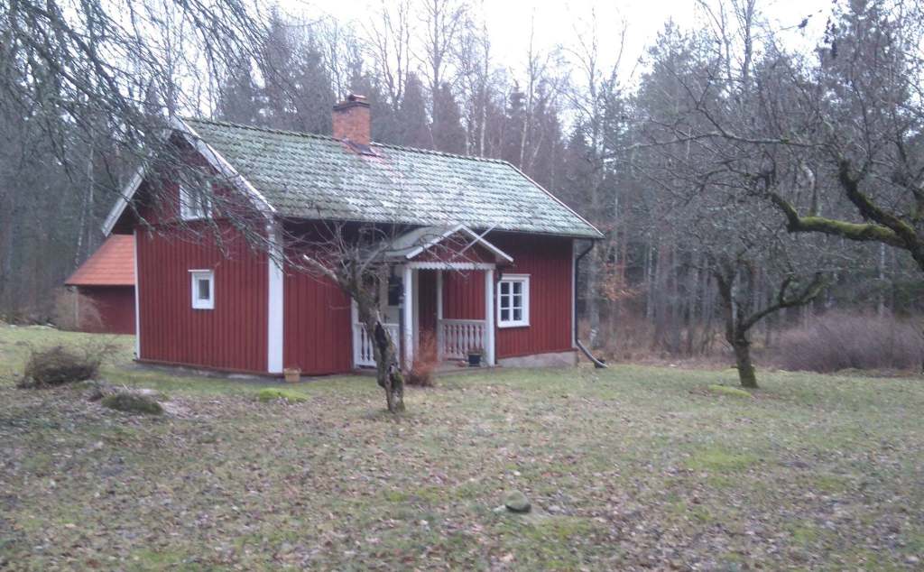 Den motvillige brudgummen